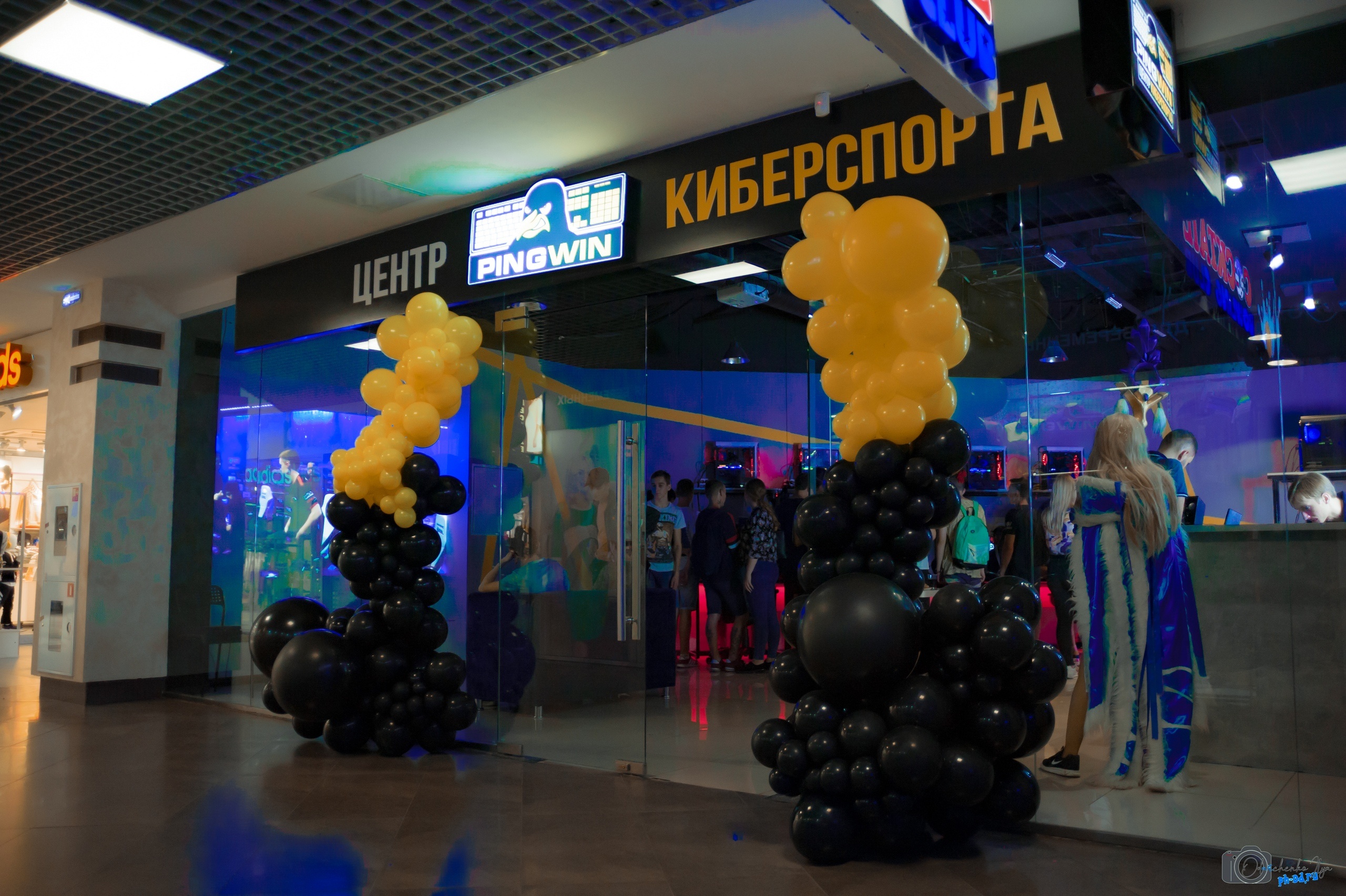 PINGWIN, Белгород